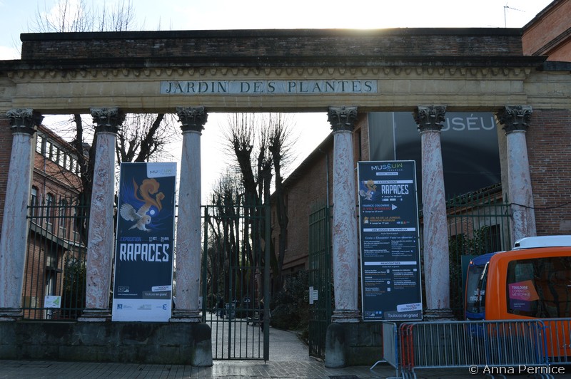 Museo di Tolosa