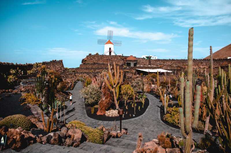 Jardin De cactus